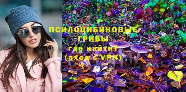 бошки Корсаков