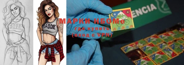 гидра Коряжма