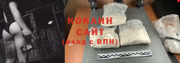 гидра Коряжма