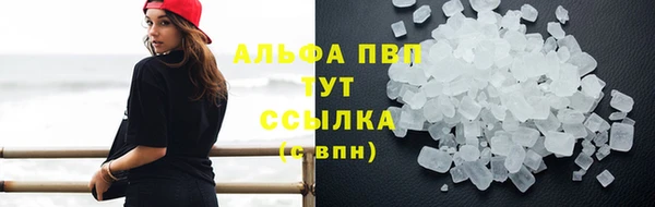 бошки Корсаков