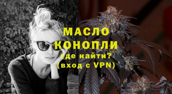 гидра Коряжма