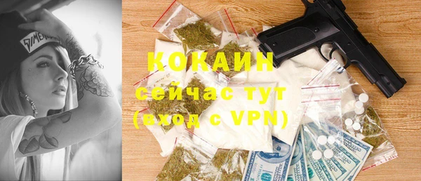 гидра Коряжма