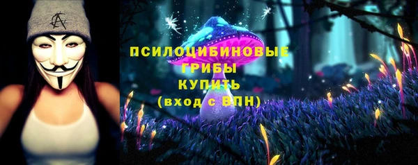 гидра Коряжма