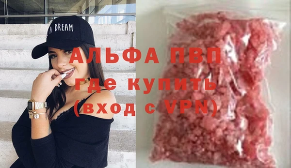гидра Коряжма