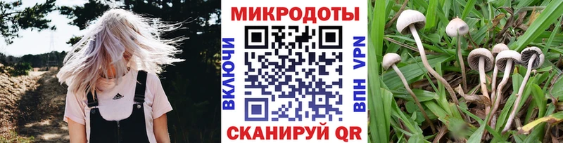 Галлюциногенные грибы мицелий  Купить закладки  Алексеевка 